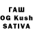 A PVP СК КРИС rajni seksaria