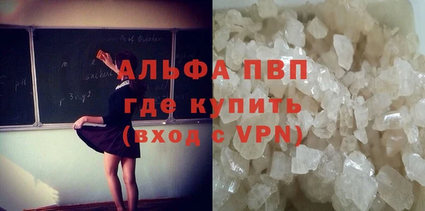 ГАЛЛЮЦИНОГЕННЫЕ ГРИБЫ Богданович