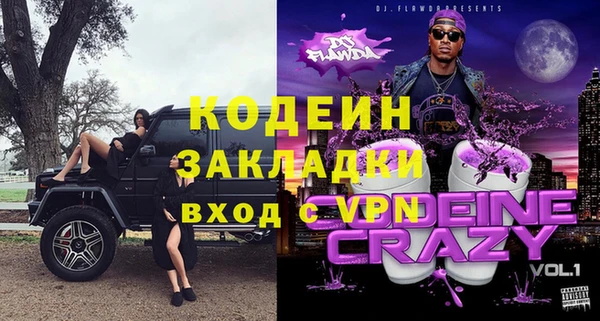 ГАЛЛЮЦИНОГЕННЫЕ ГРИБЫ Богданович