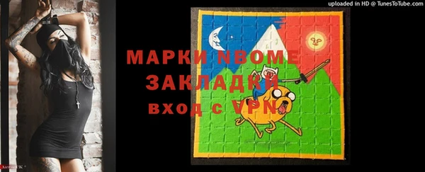 ГАЛЛЮЦИНОГЕННЫЕ ГРИБЫ Богданович