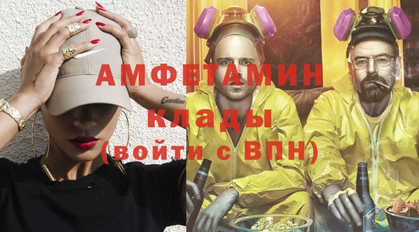 ГАЛЛЮЦИНОГЕННЫЕ ГРИБЫ Богданович