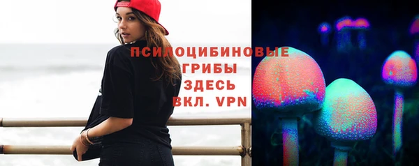 дурь Богородск