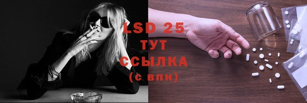 ГАЛЛЮЦИНОГЕННЫЕ ГРИБЫ Богданович