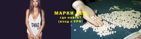 ГАЛЛЮЦИНОГЕННЫЕ ГРИБЫ Богданович