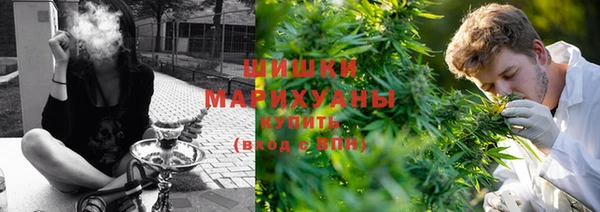 apvp Богородицк
