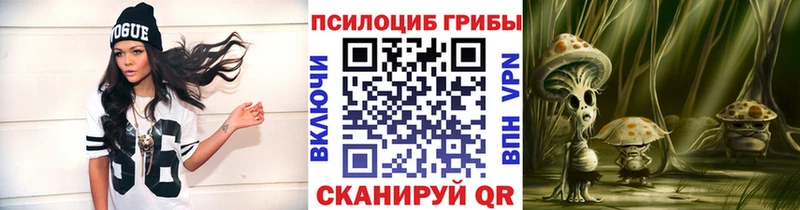 как найти   Бузулук  Псилоцибиновые грибы GOLDEN TEACHER 
