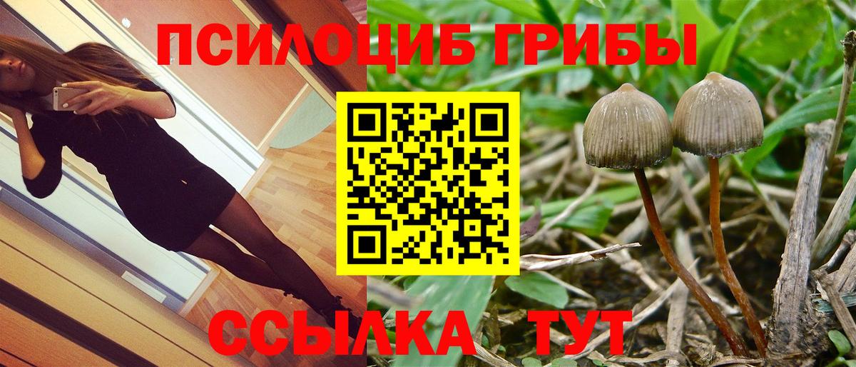 Псилоцибиновые грибы Psilocybe  Галлюциногенные грибы мухоморы  Вход с VPN  Бузулук 