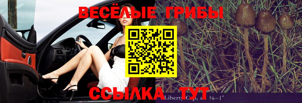 Каннабис  Бузулук  Кокаин  Альфа-ПВП  Мяу-Мяу  Ешки  МЕФ  Вход с VPN 